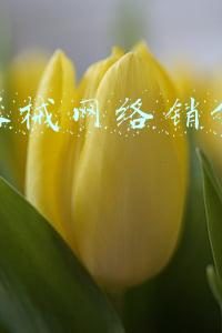 医疗器械网络销售备案凭证