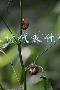 笑脸表情代表什么意思
