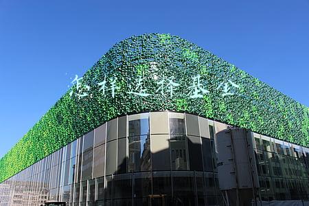 怎样选择基金