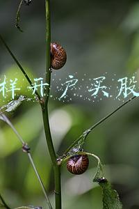 买股票怎么网上开户(现在买股票一般都在哪里开户？求介绍)