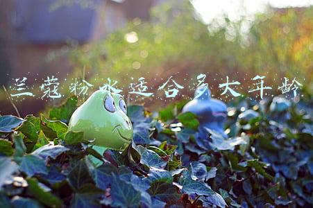 兰蔻粉水适合多大年龄