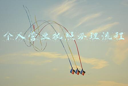 个人营业执照办理流程