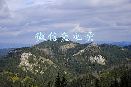 微信交电费