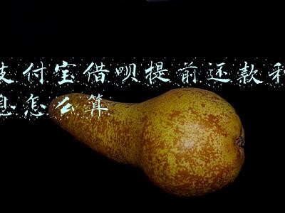 支付宝借呗提前还款利息怎么算