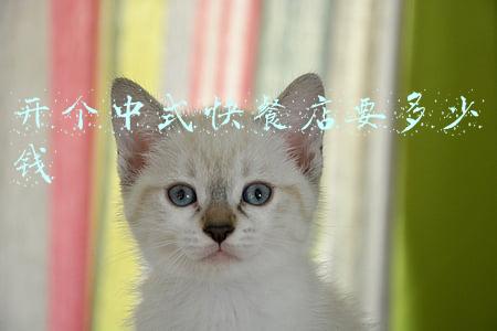 开一家快餐店一般需要多少钱-开个普通的快餐店一般多少钱