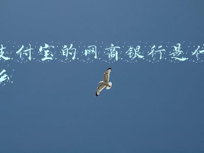 支付宝的网商银行是什么