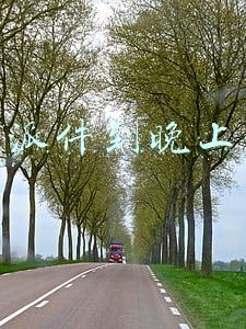 顺丰派件到晚上几点