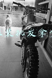 服装批发拿货