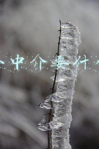 开个小中介要什么手续