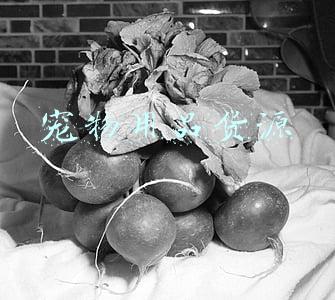 宠物用品货源