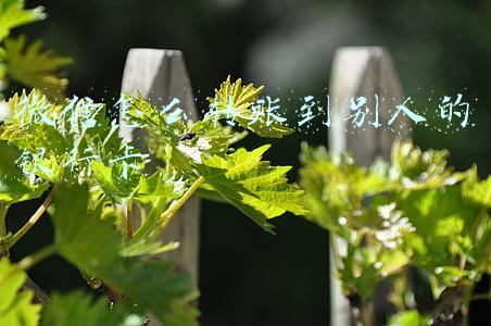 微信怎么转账到别人的银行卡