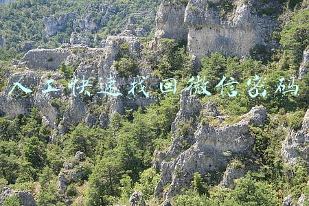 人工快速找回微信密码