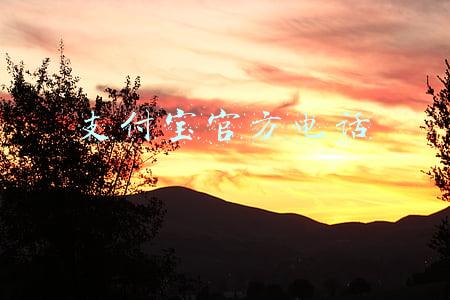 支付宝官方电话