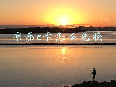 农行送的京东e卡怎么兑换(农业银行江西分行绑卡抽10元话费，5元京东E卡等)