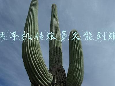 用手机转账多久能到账
