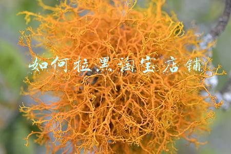 如何拉黑淘宝店铺消息(淘宝天猫卖家发的短信太烦人了，怎么屏蔽呢？一招教会你)