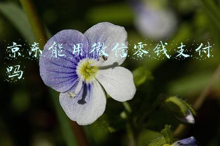 京东能用微信零钱支付吗