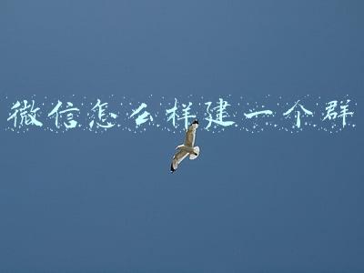 微信建一个群怎么建(怎么样做好微商群)
