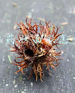 森田药妆面膜怎么样