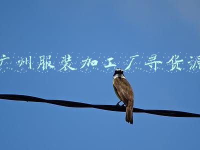 广州服装加工厂寻货源