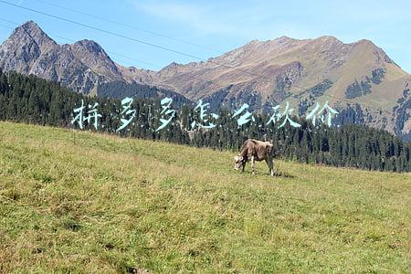 拼多多怎么砍价步骤(砍价永远差一刀上了热搜？拼多多的玩法我们到底该怎么看？)