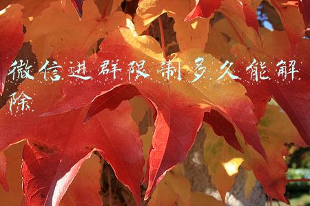 微信进群限制多久能解除