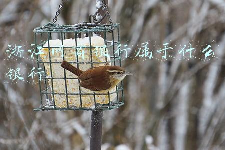 浙江网商银行属于什么银行