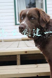 微信怎么创建一个群