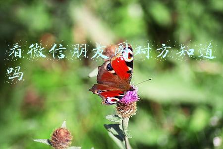看微信朋友圈对方知道吗
