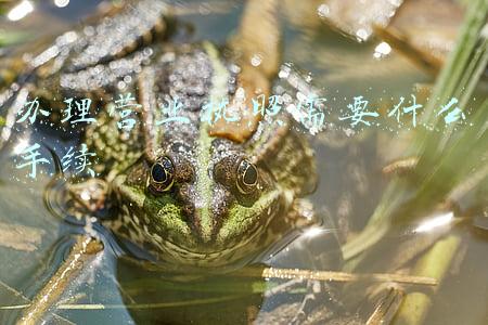 办理营业执照需要什么手续