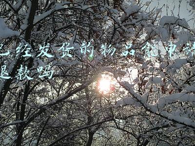快手已经发货的物品能申请退款吗(退款无忧：快手小店小额自动退款功能上线啦)