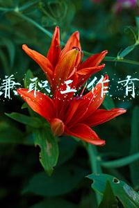 晚上兼职工作有哪些