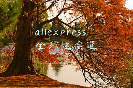 aliexpress全球速卖通
