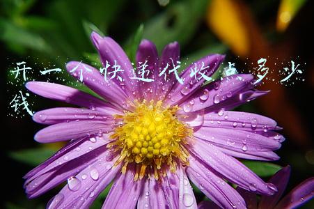 开一个快递代收点多少钱