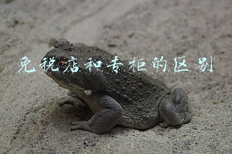 免税店和专柜的区别