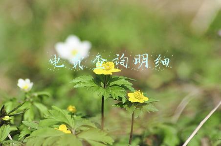 国家电网查询电费明细(《网上国网》电费账单查询教程)