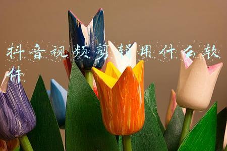 抖音视频剪辑用什么软件