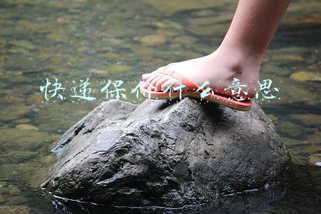 快递保价什么意思