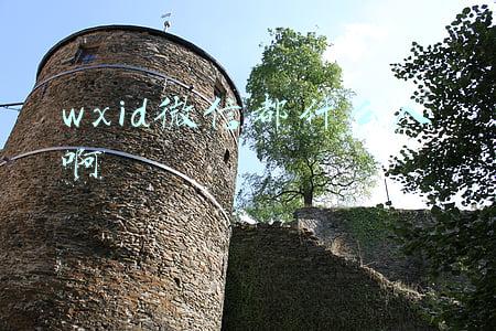wxid微信都什么人啊
