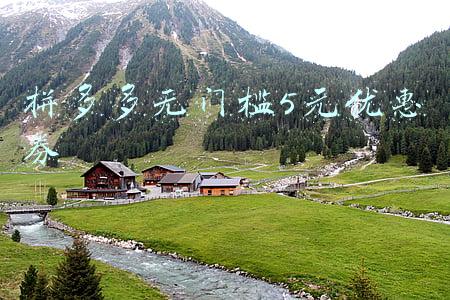 拼多多无门槛5元优惠券