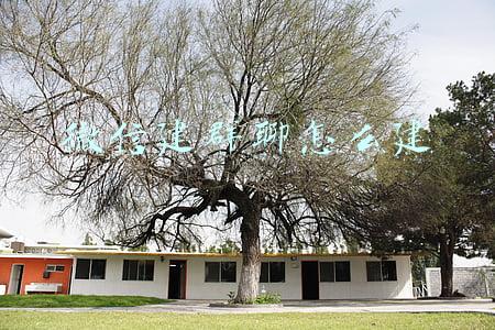 微信建群聊怎么建