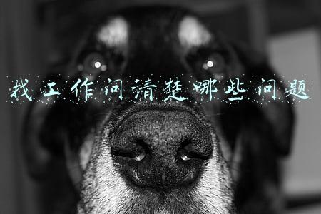 找工作问清楚哪些问题