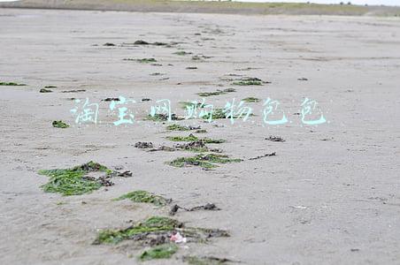 淘宝网购物包包