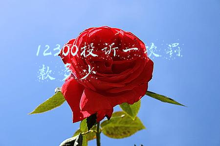 12300投诉一次罚款多少