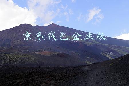 京东钱包企业版