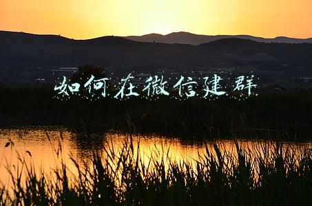 如何在微信建一个群(西安一区建1603个微信群，探索“关门不关店”直供新模式)
