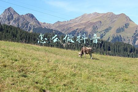 怎么做抖音