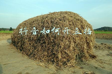 抖音如何开直播