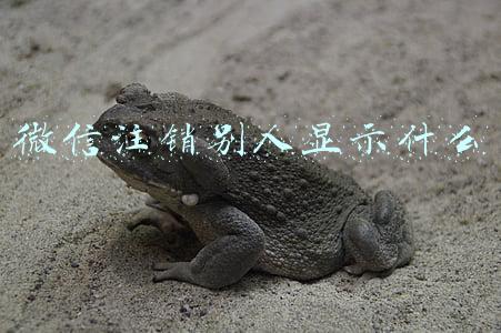 微信注销别人显示什么