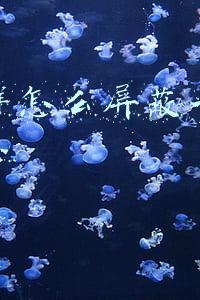 微信群怎么屏蔽一个人的消息